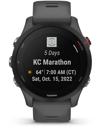 RACE WIDGET